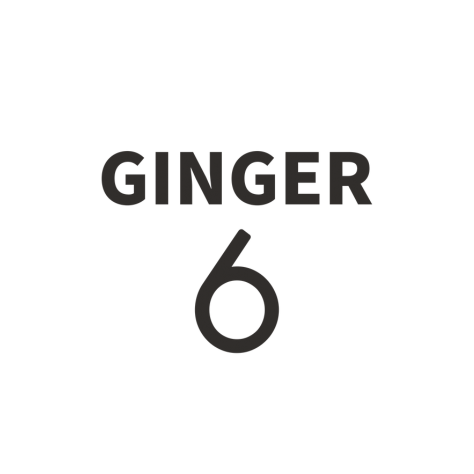 ginger6 logo