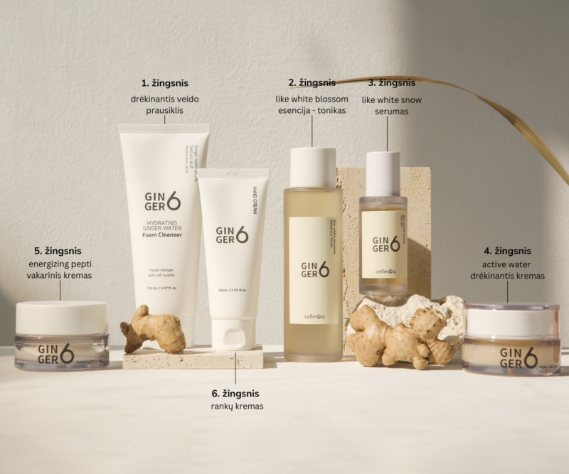 ginger6 products